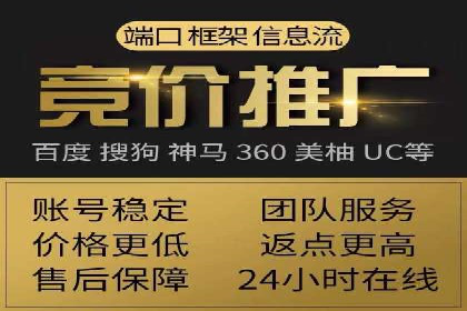 百度推广运营案例精选：揭秘成功之道